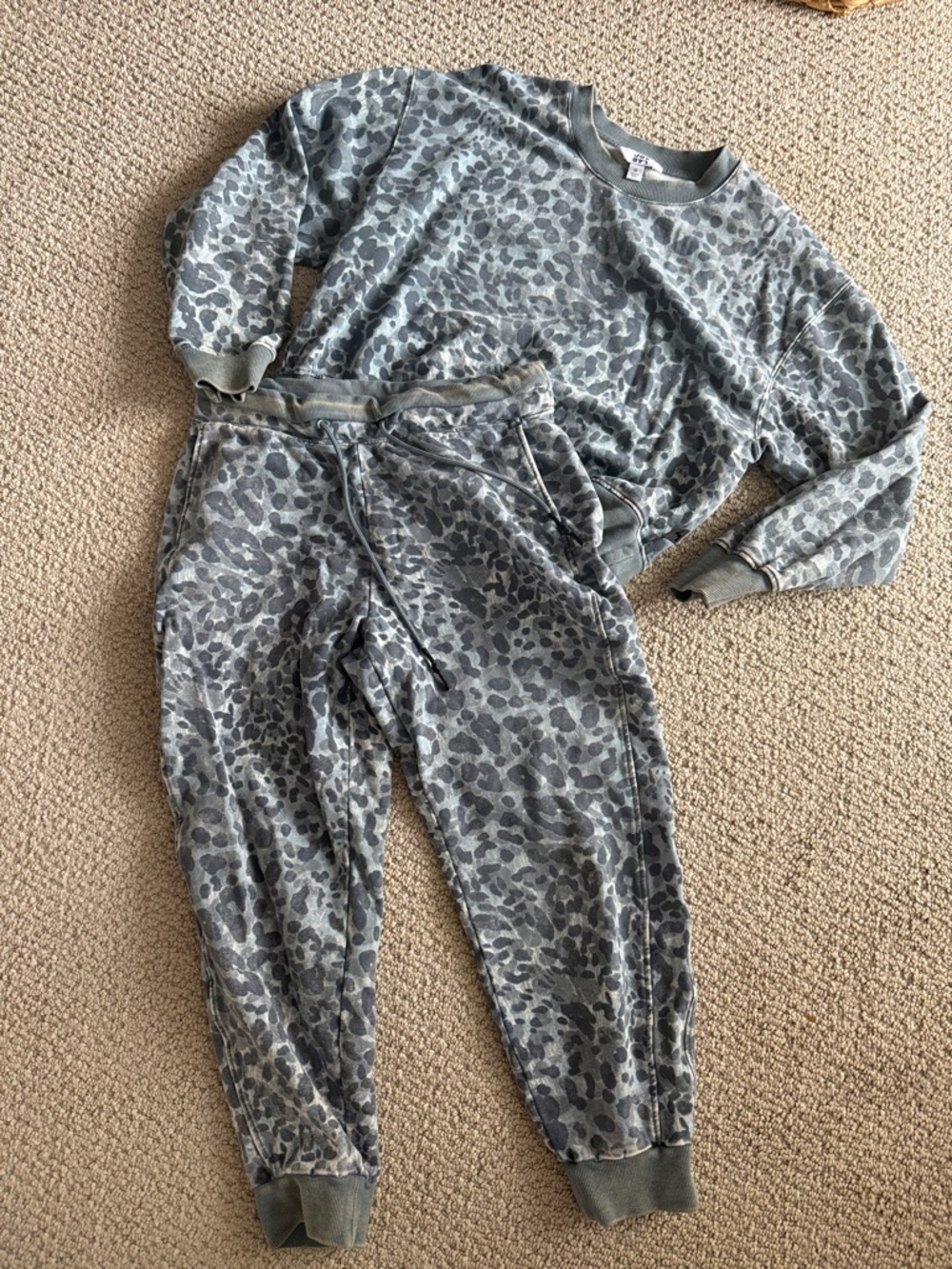 Blue Cheetah Two Piece Sweatsuit Set, M